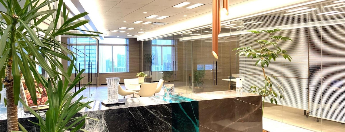 【50代以上の方活躍中／生涯現役】インフラ PL / PM・PMO ／在宅可／残業12h／言語不問